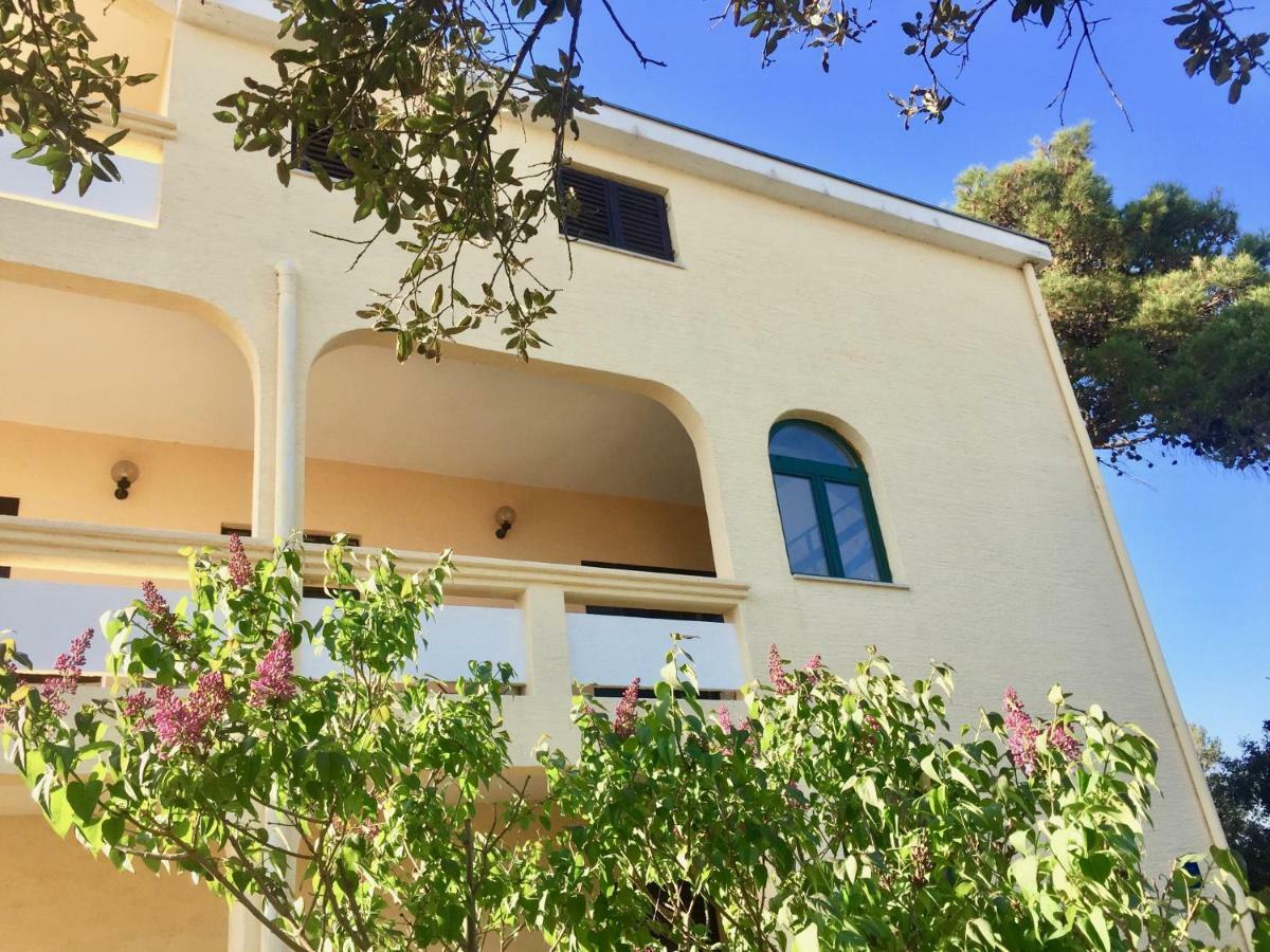 Apartmani Bosiljka 닌 외부 사진