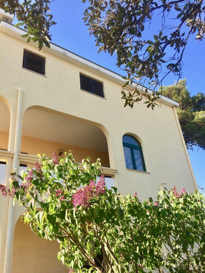 Apartmani Bosiljka 닌 외부 사진