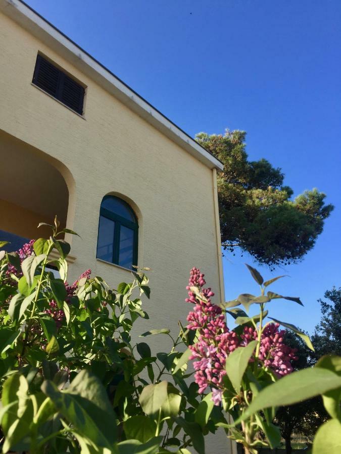 Apartmani Bosiljka 닌 외부 사진